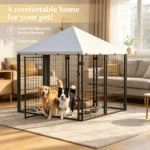 Dog House - Image 3