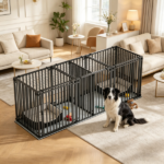 Dog Kennel