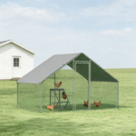 Chicken Coop