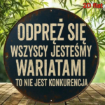 CIFbuy 1pc 8x8 Inch Round French Aluminum Sign, Vintage Decorative Wall Plaque, Funny Relax Everyone Is Crazy This Is Not A Competition TikTok, TikTok, que, Self-pickup Logiopics - Image 4