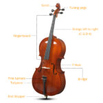 Full Side 4/4 Natural Color Spruce Panel Cello Tiger pattern process with Bag Bow Rosin Bridge Strings - Image 5