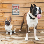 CIFbuy 1pc Retro American Bulldog Metal Wall Sign, Waterproof Rustproof Dog Lover Home Decor, A House Without An American Bulldog Is No TikTok, TikTok, s No Self-pickup Logiopics - Image 6