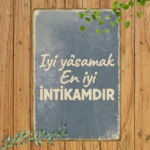 CIFbuy Vintage Turkish Quote Metal Sign, Iyi İNTİKAMDIR Retro Plaque, Gray Frosted Aged Frame 2D Flat Wall Art, 2D Flat Wall Art, Home Dec ikTok, ikTok, rosted Aged Frame 2D Flat Wall Art Self-yickup LogiopDece, Gray Frosted - Image 7