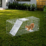 32" Live Animal Cage Trap, Heavy Duty Folding Raccoon Trap, Humane Cat Trap with Handle, Silver - Image 5