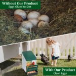 Single Roll Out Chicken Nesting Box with Plastic Basket, Egg Nest Box Chicken Laying Box Hens Chicken Coop Box, Green - Image 7