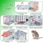 2-Pack Humane Mouse Traps – Instant-Lock One-Way Door, 2 mm Galvanized Metal, Safe for Kids & Pets, Indoor/Outdoor Reusable Catcher, Easy-Set & Release - Image 4