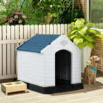 Catio - Image 12