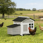 Chicken Coop - Image 6