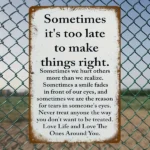 CIFbuy Sarcastic Retro Metal Sign Sometimes It's Too Late To Correct Rustic Wall Decor For Home Porch Garage Cafe Bar Garden (TikTok, temu pick-up service) - Image 4
