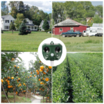 Upgraded Ultrasonic Animal Repeller, Solar Powered Pest Deterrent with PIR Motion Sensor, LED Flashing Light, IPX6 Waterproof, Dual Speakers 5000 Sq.ft Coverage, Repel Cat Dog Squirrel Raccoon Deer for Yard Garden - Image 3
