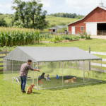 Dog Kennel Outdoor