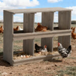 Nesting Boxes for Chickens, Wooden Chicken Nesting Box, Laying Eggs Nest Box for Chickens Hens Ducks, Gray, 6 Compartments - Image 6