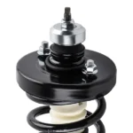 Rear Struts Coil Spring Assembly fit for 2013 2014 2015-2017 Honda Accord 172984