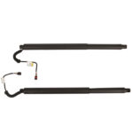 2Pcs Rear Left Right Power Lift Gate Cylinder Struts Fit for 2015-2019 Nissan Murano 3.5L