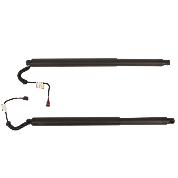 2Pcs Rear Left Right Power Lift Gate Cylinder Struts Fit for 2015-2019 Nissan Murano 3.5L