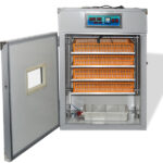 56H 56-Egg Incubator 110V 85W, Fully Automatic Turner, Upgraded LED Candler, Auto Temp & Humidity Control (Fahrenheit Display), ABS+PET Orange-White Body Clear Lid, Multi-Function Strip Egg Tray (US Plug) - Image 16