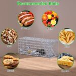 2-Pack Humane Mouse Traps – Instant-Lock One-Way Door, 2 mm Galvanized Metal, Safe for Kids & Pets, Indoor/Outdoor Reusable Catcher, Easy-Set & Release - Image 5