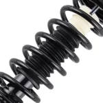 Rear Struts Coil Spring Assembly fit for 2013 2014 2015-2017 Honda Accord 172984 - Image 2