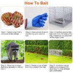Heavy-Duty Live Animal Trap - 37x14x15 Inch Galvanized Mesh, Sensitive Pedal Trigger & Rear Release Door, Guarded Handle, Foldable Design for Raccoons, Armadillos, Small Dogs Under 55 lbs - Image 5