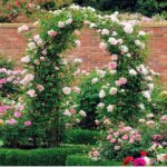 7'8" H x 4'5" W Metal Garden Arch Trellis,Adjustable Arbor Trellis for Garden Climbing Plants Support - Image 2