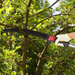 26ft Manual Pole Saw, Lightweight Tree Trimmers Long Handle Pruner Set, Sharp Steel Blade and Scissors Pole Saw for Trimming Palm, Pear Tree, Fir Tree, Other High Trees and Shrubs - Image 10