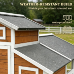 Chicken Coop - Image 4