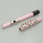 Cupronickel C 16 Closed Holes Concert Band Flute Pink - Image 6