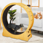 Cat Wheel Exerciser for Indoor Cats, 43.3-inch Large Cat Exercise Wheel for Running Silent, Cat Treadmill with Safety Lock for Cat's Fitness and Health, Natural Wood - Image 8