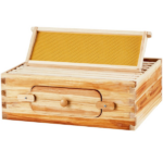 Bee Hive - Image 3