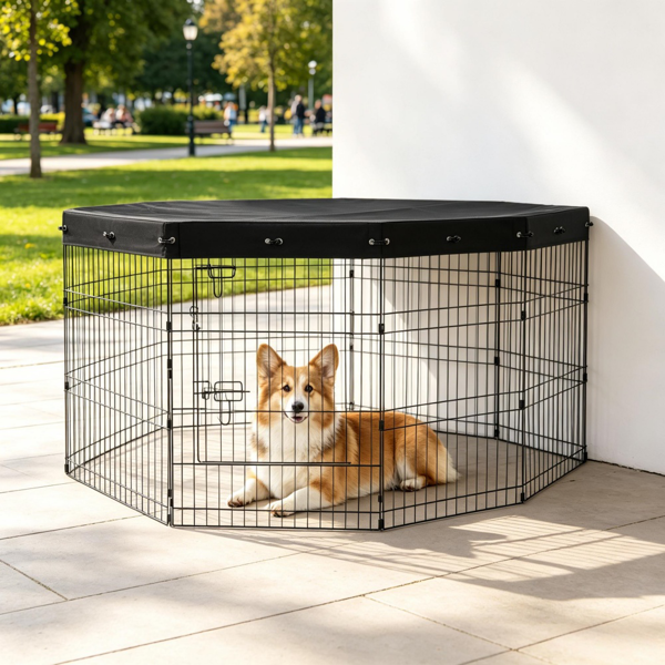 Dog House