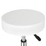 Round Stool Ha Ha Feet Rotation Bar Stool White - Image 4