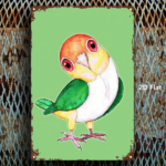 CIFbuy 1pc White-Bellied Caique Fish Metal Wall Sign, 8x12 Inch Marine-Themed Iron Wall Art For Bathroom Bedroom Man Cave Kitchen, Uniq TikTok, TikTok, ron Wall Art For Bathroom Bedroom Man Cave Kitchen Self-pickup Logiopics - Image 3