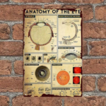CIFbuy Vintage Anatomy Of The Eye Poster, Retro Ophthalmology Metal Wall Art, Detailed Optometric Chart With Cornea Iris Retina, Educat TikTok, TikTok, etailed Optometric Chart With Cornea Iris Retina Self-pickup Logiopics - Image 5