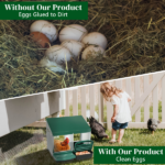 2 Compartment Roll Out Chicken Nesting Box with Plastic Basket, Egg Nest Box Chicken Laying Box Hens Chicken Coop Box, Green - Image 6