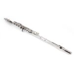 Nickel Plated C Closed Hole Concert Band Flute Silver - Image 21
