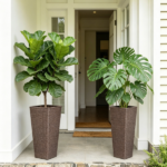 Flower Pot - Image 2
