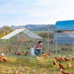 5.4*2.7*2m/18.7x8.8x6.5 ft Silver Spire Assembled 180g PE Rain Cloth Metal Chicken/Rabbit Cage - Image 13