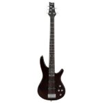[Do Not Sell on Amazon] GIB Electric 5 String Bass Guitar Full Size Bag Strap Pick Connector Wrench Tool Earth Brown