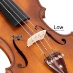 Do Not Sell on Amazon GV103 4/4 Spruce Panel Violin Matte Natural - Image 22