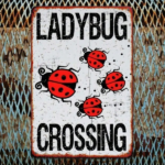 CIFbuy 8x12 Inch ( 20.3x30.5cm ) Vintage Rustic Aluminum Sign Ladybug (TikTok, temu pick-up service) - Image 7