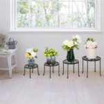 4 Round Ironwork Plant Racks With 4-1 Black Paint Prints - Image 20