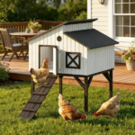 Chicken Coop