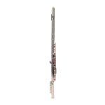 Nickel Plated C Closed Hole Concert Band Flute Silver - Image 14