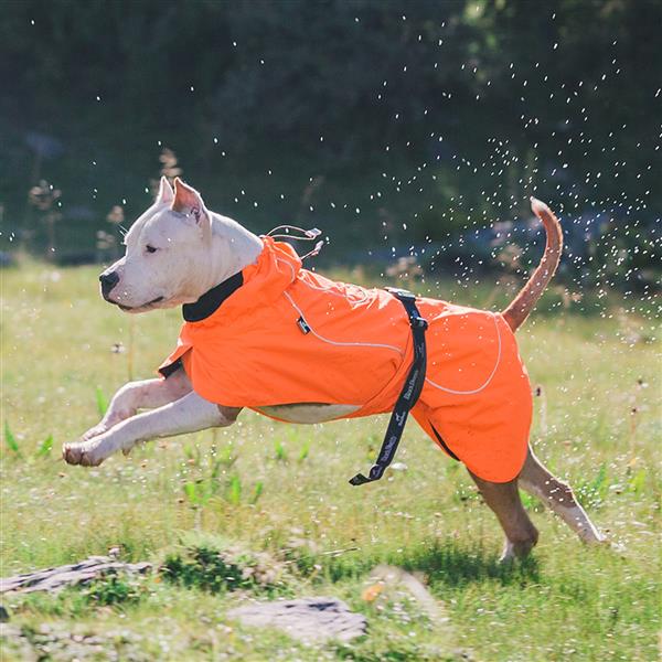 Dog Coats Small Waterproof,Warm Outfit Clothes Dog Jackets Small,Adjustable Drawstring Warm And Cozy Dog Sport Vest- orange size 2XL