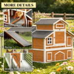 Chicken Coop - Image 5