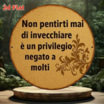 CIFbuy 1pc Vintage Italian Phrase "Don't Regret Tomorrow" Round Aluminum Wall Plaque, 8-Inch Dark Brown Border Sign, Italian Language D TikTok, TikTok, Self-pickup Logiopics - Image 8