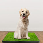 Dog Toilet Indoor Puppy Training Pad, Dog Potty Pet Training Grass Mat, Removable Waste Tray for Easier Clean Up, Artificial Turf, 25"×20" - Image 4
