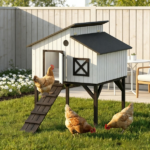 Chicken Coop - Image 5