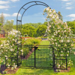 198.5*50*219cm Courtyard Arc Top With Door With Planting Frame Iron Art Iron Arch Black - Image 6