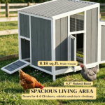 Chicken Coop - Image 5